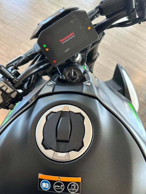 Kawasaki Z 900 (2025) (5)