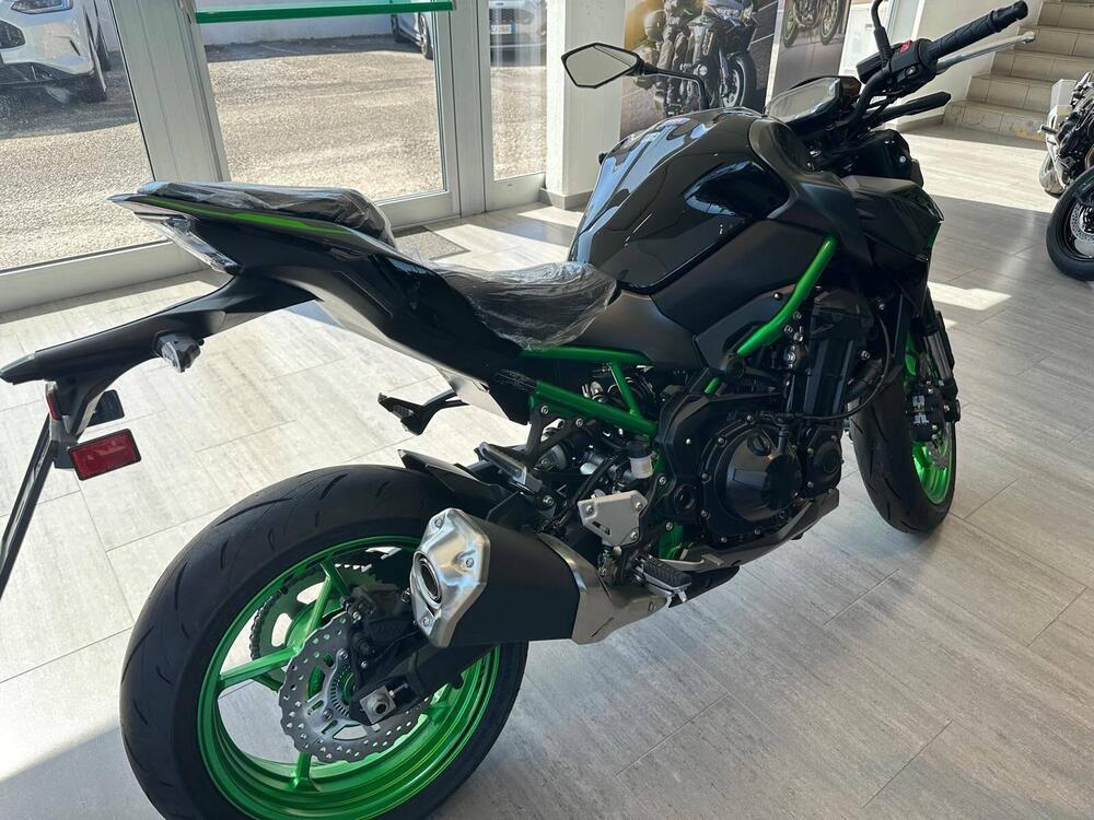 Kawasaki Z 900 (2021 - 24) (4)