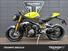Triumph Speed Triple 1200 RX (2025) (11)