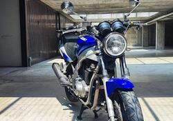 Suzuki GS 500 (2001 - 06) usata