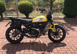 Ducati Scrambler 800 Icon (2015 - 16) usata