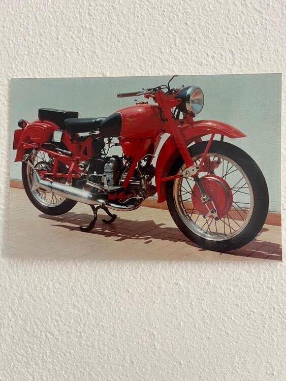 Moto Guzzi Airone sport (5)