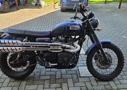 Triumph Scrambler (2006 - 17) usata