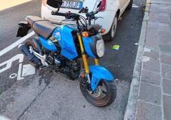 Honda MSX 125 Grom (2021 - 25) usata