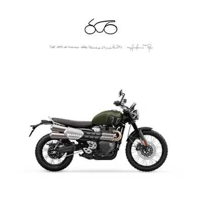 Triumph Scrambler 1200 X (2024 - 26) nuova