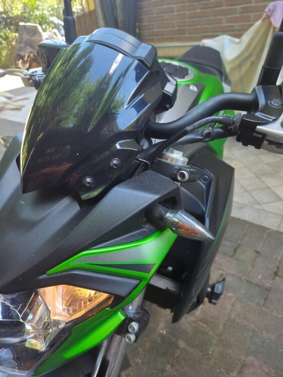 Kawasaki Z 650 (2017 - 19) (4)