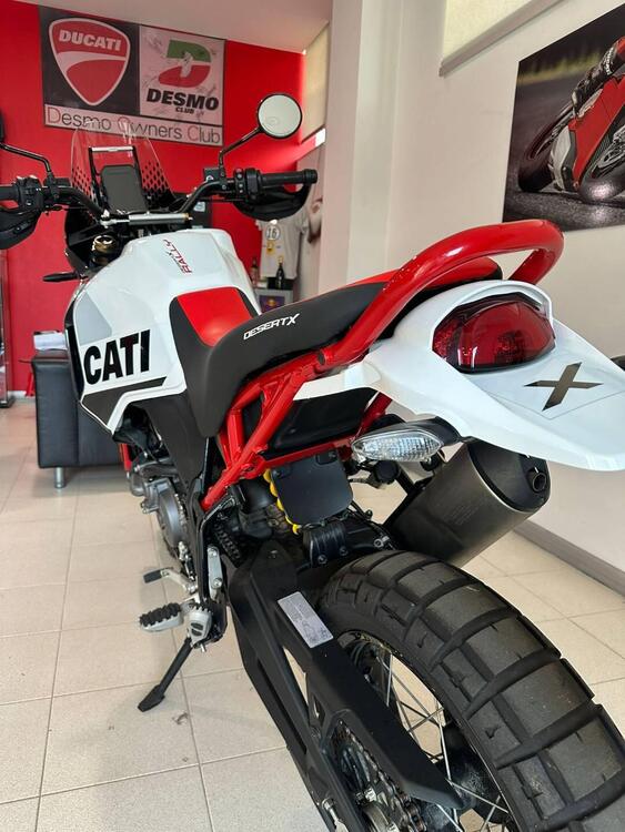Ducati DesertX Rally (2024 - 25) (4)