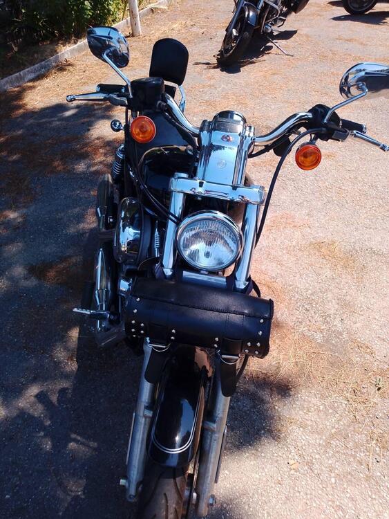 Harley-Davidson 1200 Custom (2007 - 13) - XL 1200C (4)