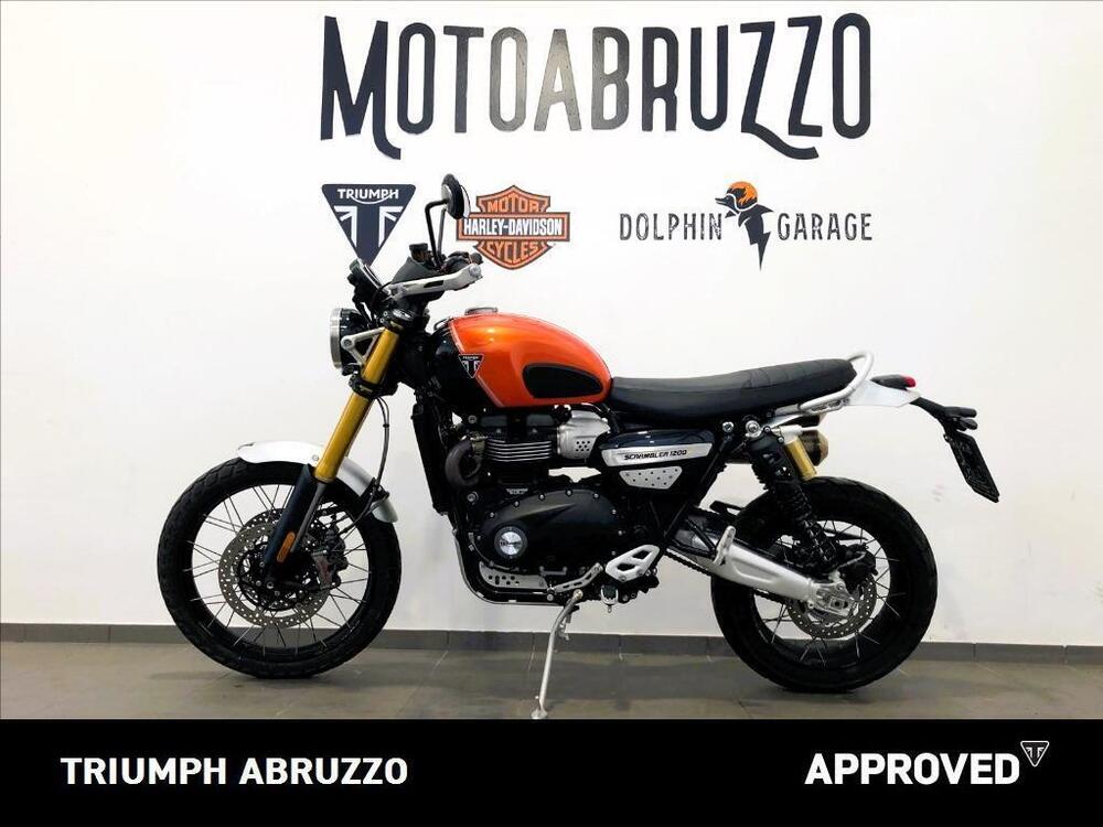 Triumph Scrambler 1200 XE (2024 - 25) (5)