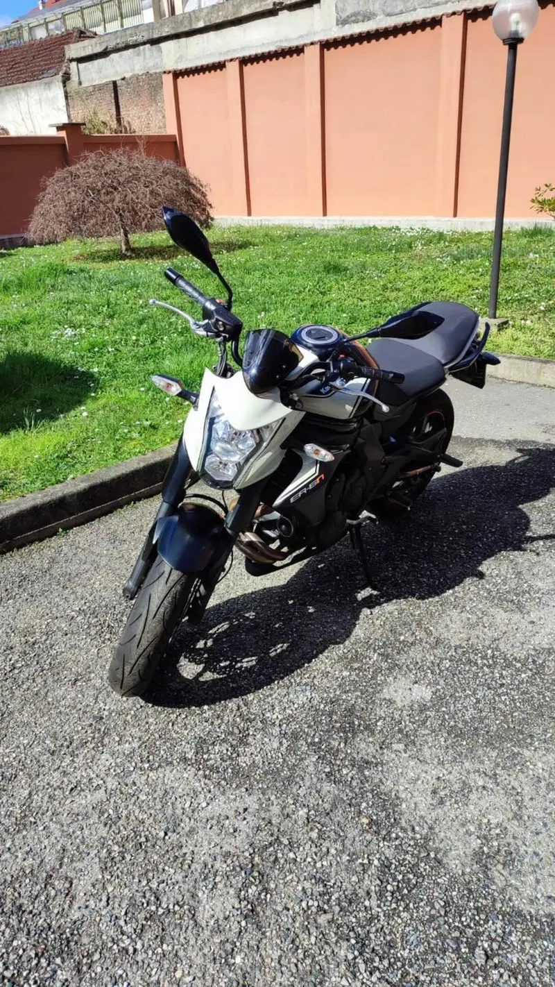 Kawasaki ER-6N ABS (2012 - 16) (2)