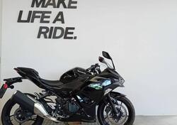 Kawasaki Ninja 500 (2024 - 25) usata