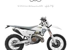 Husqvarna TE 300 Pro (2025) usata