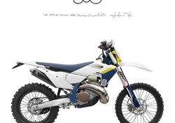 Husqvarna TE 300 (2025) usata
