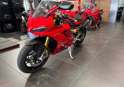 Ducati Panigale V2 S (2025) nuova