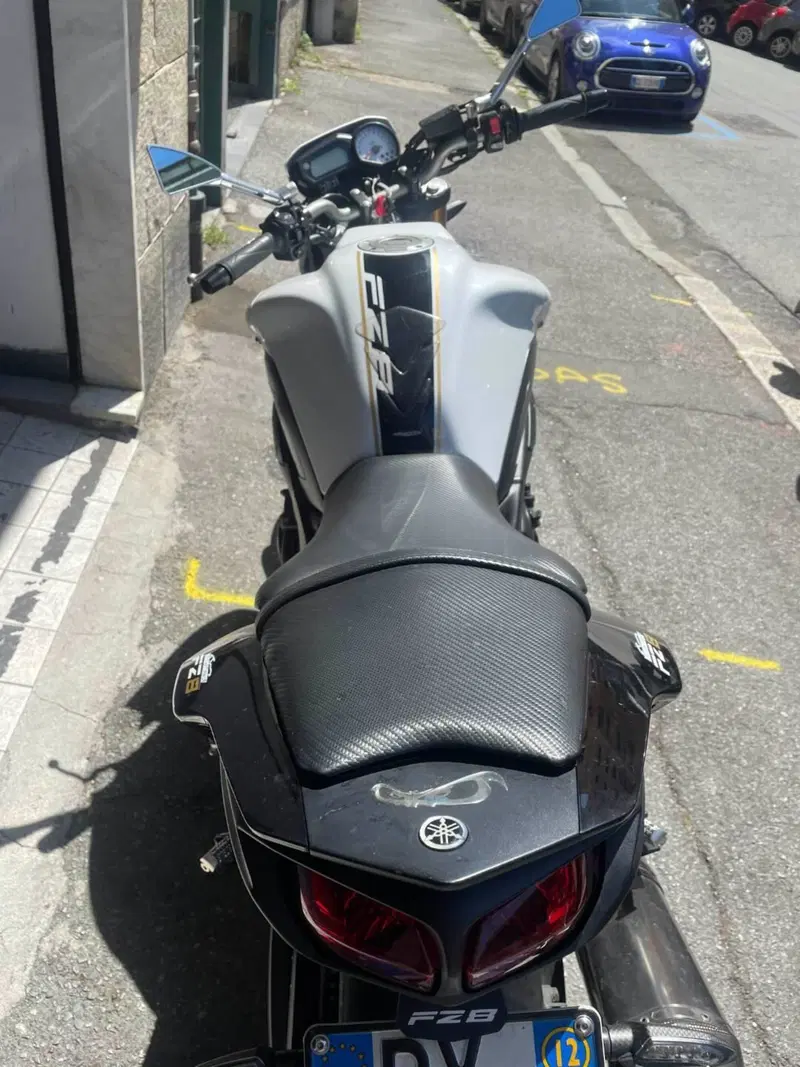 Yamaha FZ8 ABS (2010 - 13) (4)