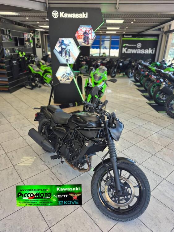 Kawasaki Eliminator 500 SE (2024 - 26) (5)