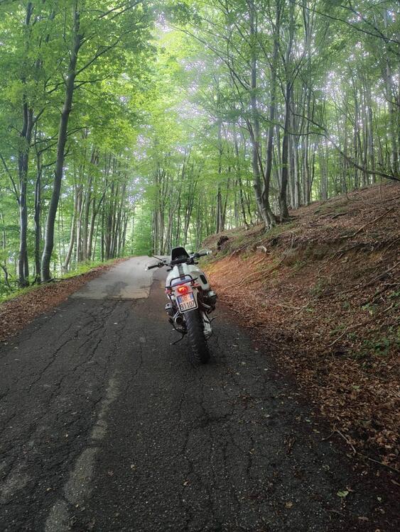 Bmw R 1200 GS (2004 - 07) (4)