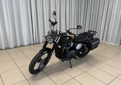 Triumph Scrambler 900 Stealth Edition (2024) usata
