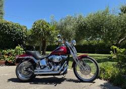 Harley-Davidson 1450 Springer (2005 - 06) - FXSTSI usata