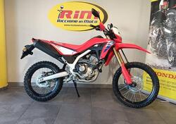 Honda CRF 300 L (2025) nuova