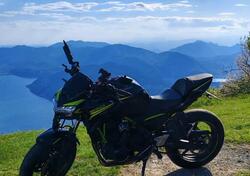 Kawasaki Z 650 (2020) usata
