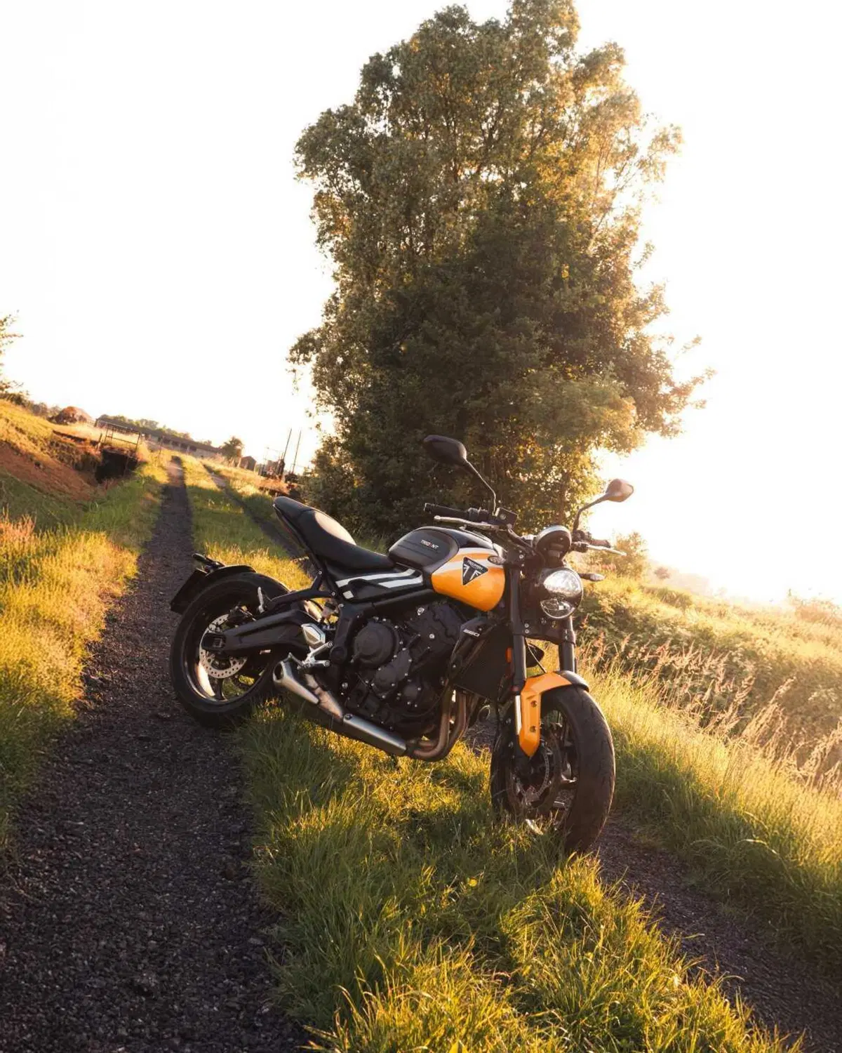 Triumph: vendite record per il quinto anno consecutivo (7)
