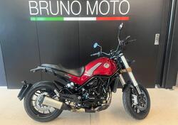 Benelli Leoncino 500 (2021 - 25) usata