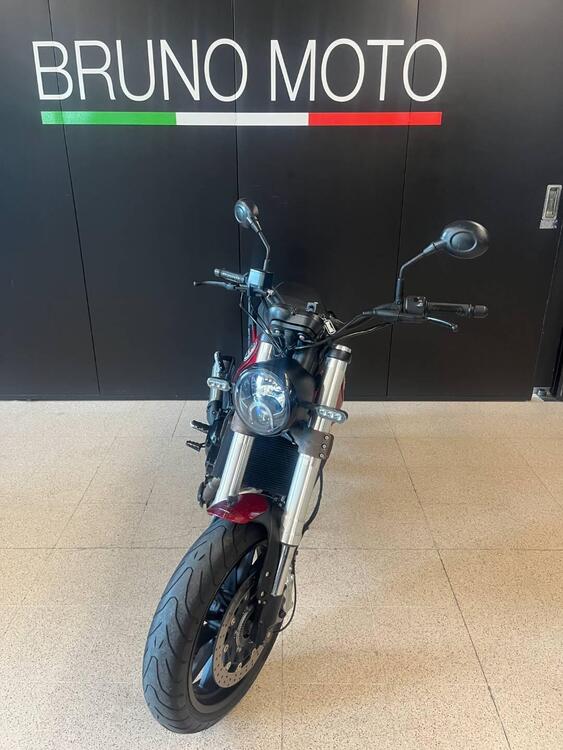 Benelli Leoncino 500 (2021 - 25) (3)
