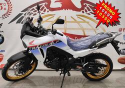 Honda Transalp XL750 (2025) nuova