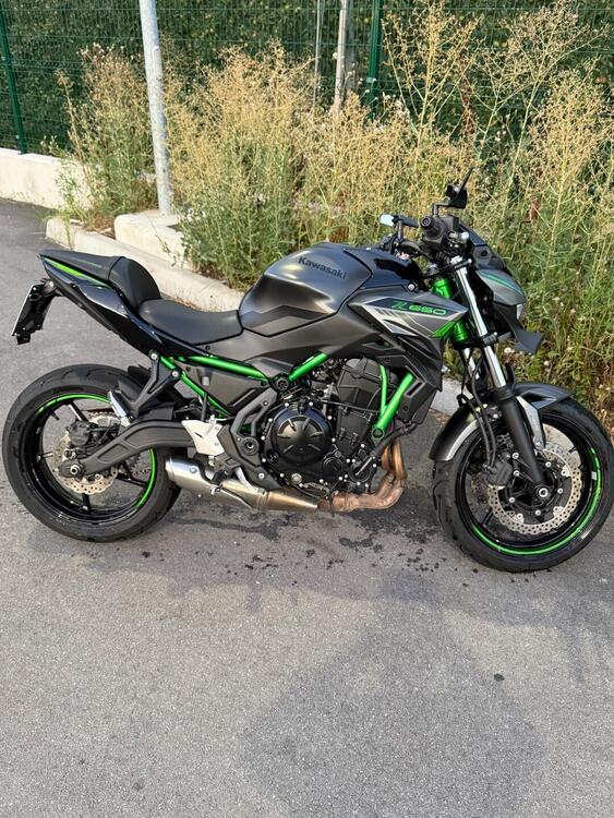 Kawasaki Z 650 (2021 - 24)