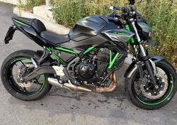 Kawasaki Z 650 (2021 - 24) usata