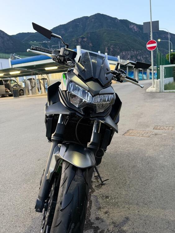 Kawasaki Z 650 (2021 - 24) (5)