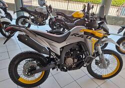 Voge Valico 300 Rally (2022 - 25) nuova