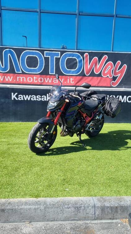 Honda CB 750 Hornet (2023 - 24) (5)