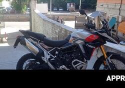 Triumph Tiger 900 Rally Pro (2024 - 25) usata