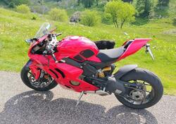 Ducati Panigale V4 (2022 - 24) usata