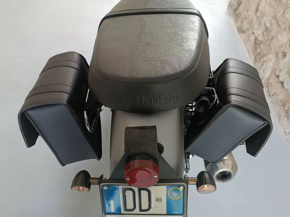 Triumph Scrambler (2006 - 17) (5)