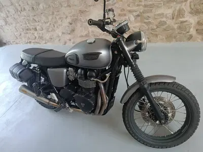 Triumph Scrambler (2006 - 17) usata