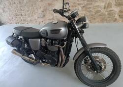 Triumph Scrambler (2006 - 17) usata