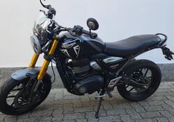 Triumph Scrambler 400 X (2024 - 25) usata