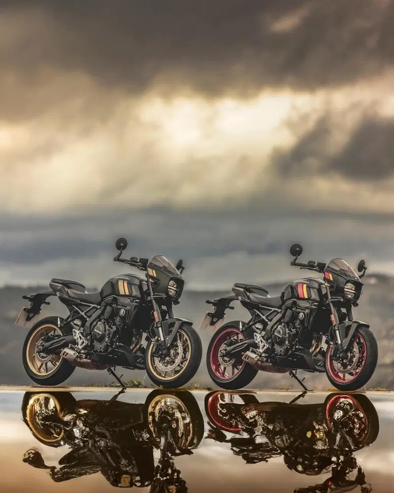 Suzuki GSX-8TT (2025 - 26) (19)