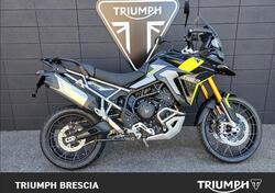 Triumph Tiger 900 Rally Pro (2024 - 25) nuova