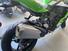 Kawasaki Ninja ZX-4RR (2024 - 26) (7)