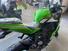 Kawasaki Ninja ZX-4RR (2024 - 26) (6)