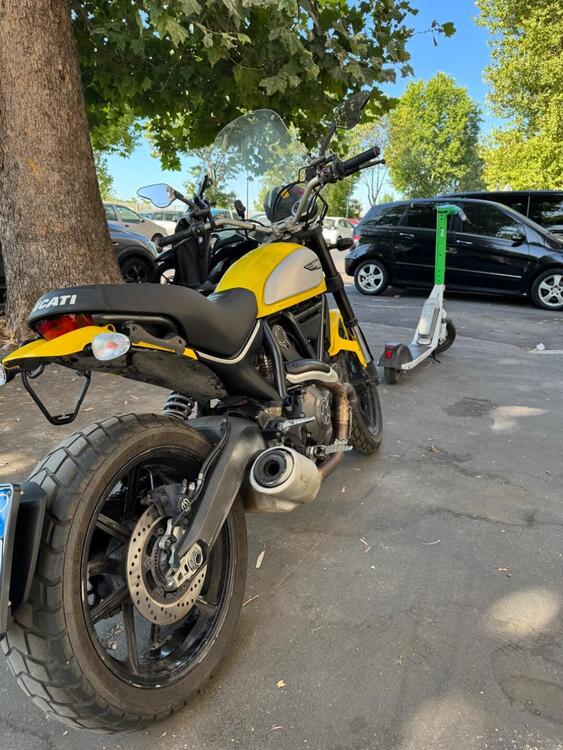 Ducati Scrambler 800 Classic (2015 - 16) (4)