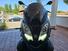 Piaggio Mp3 300 Hpe Sport (2019 - 20) (7)