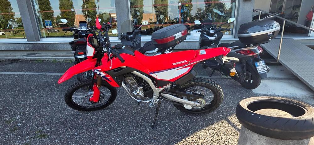Honda CRF 300 L (2025)