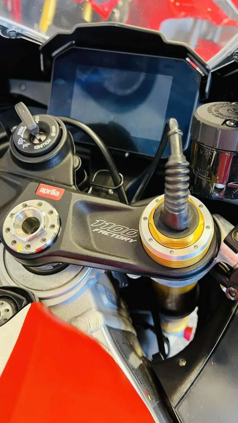 Aprilia RSV4 1100 Factory (2021 - 24) (8)