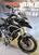 Triumph Tiger 1200 Rally Explorer (2024 - 25) (8)