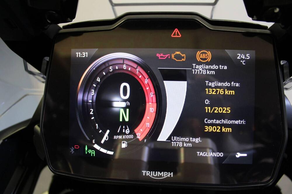 Triumph Tiger 1200 Rally Explorer (2024 - 25) (3)